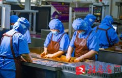 <b>西平县俏嘴巴：休闲食物加工产销旺</b>